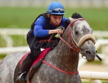 09.07 Corridas » 09.07 Corridas » matinal sabado 1506